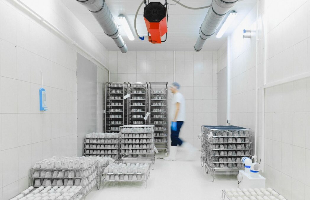 inside coldstorage