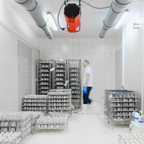 inside coldstorage