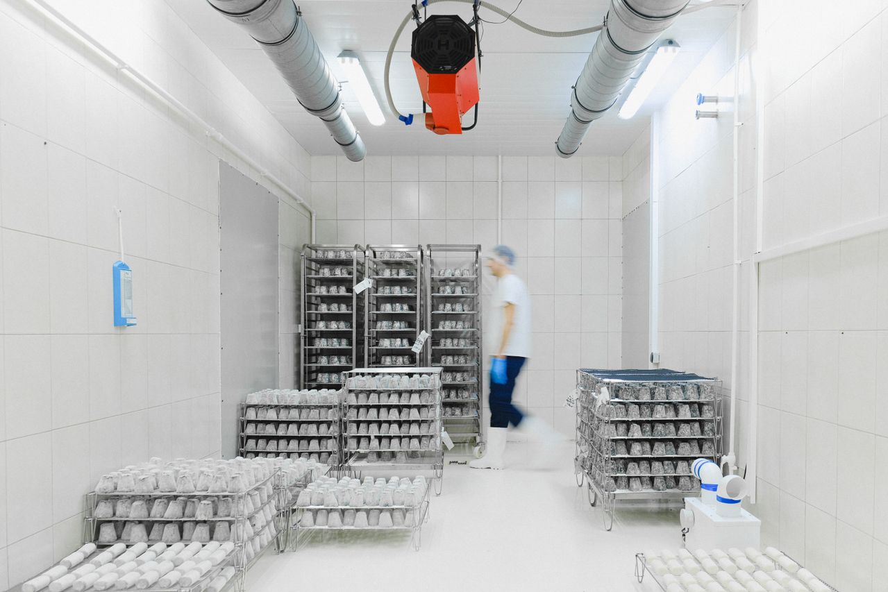 inside coldstorage