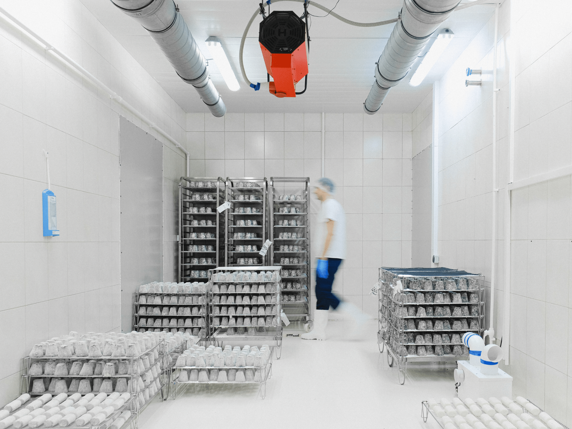 cold storage